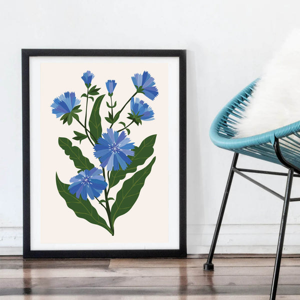 'Chicory' Art Print