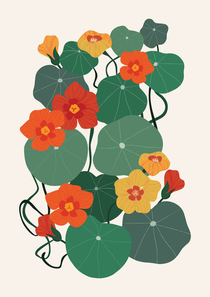 'Nasturtium' Art Print