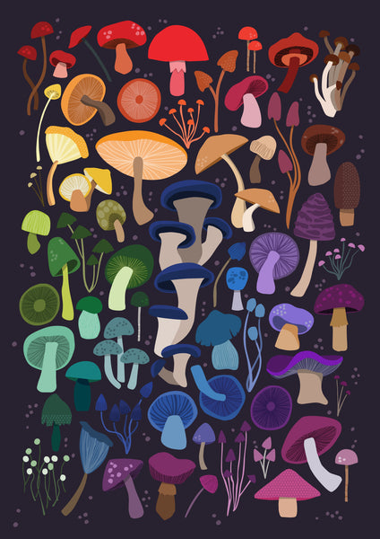 'Rainbow Mushrooms' Midnight Art Print
