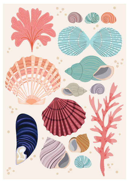 'Seashells' Art Print