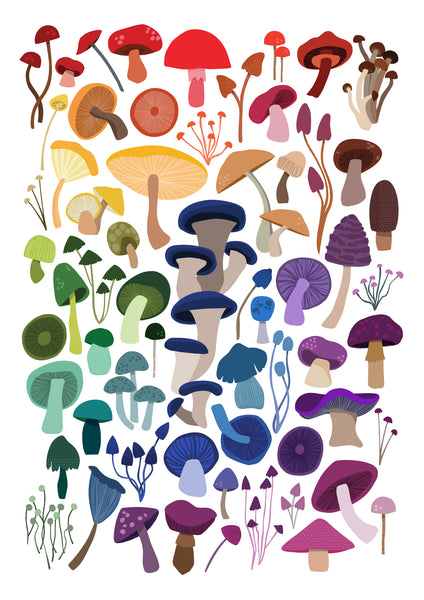 'Rainbow Mushroom' Art Print