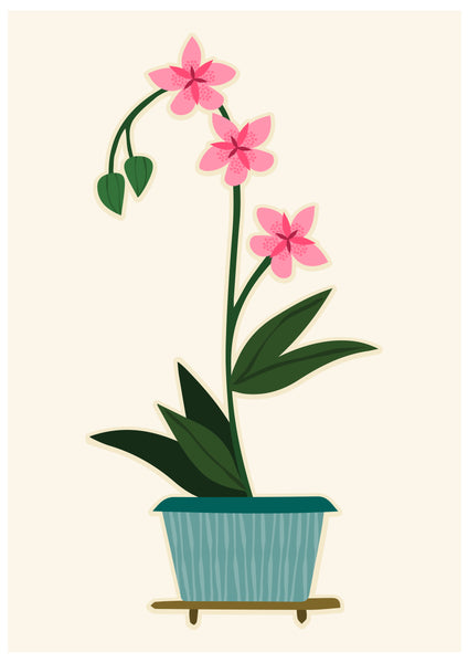 'Pink Orchid' Art Print